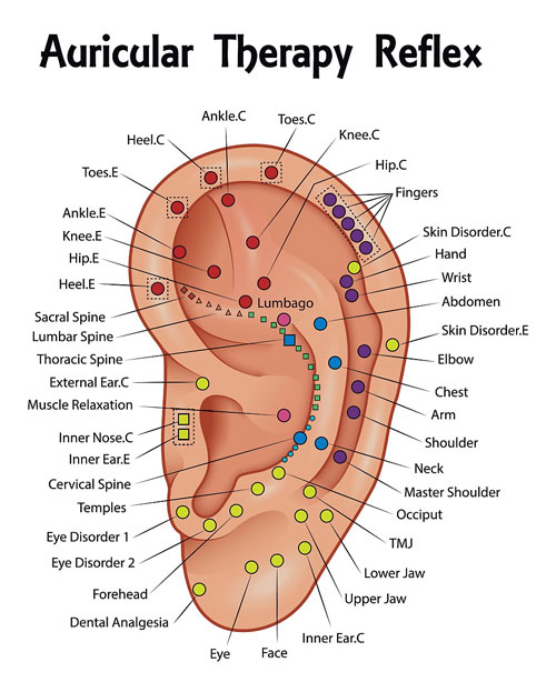 Acupuncture and Ear Acupuncture Promotes health, treats ailments